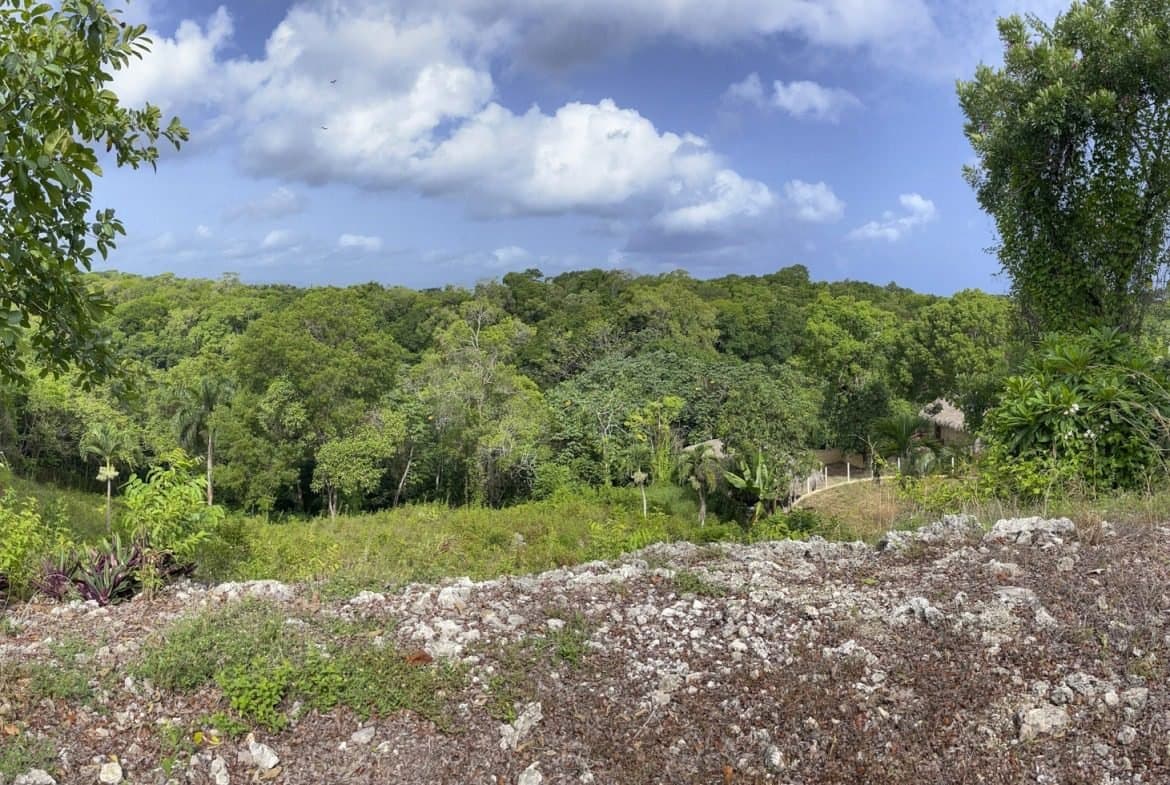 Large Building Lot for Sale with Ocean Views | Sosúa Real Estate