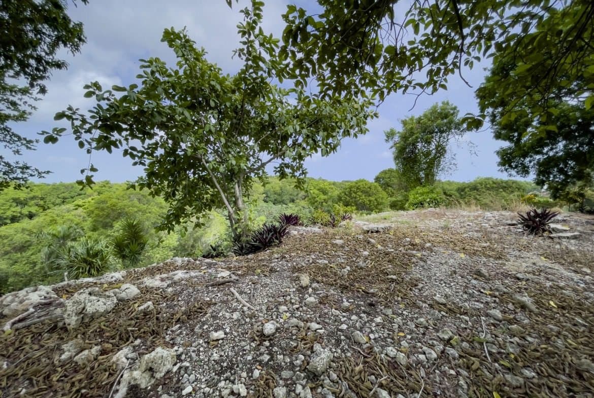 Large Building Lot for Sale with Ocean Views | Sosúa Real Estate - Image 4
