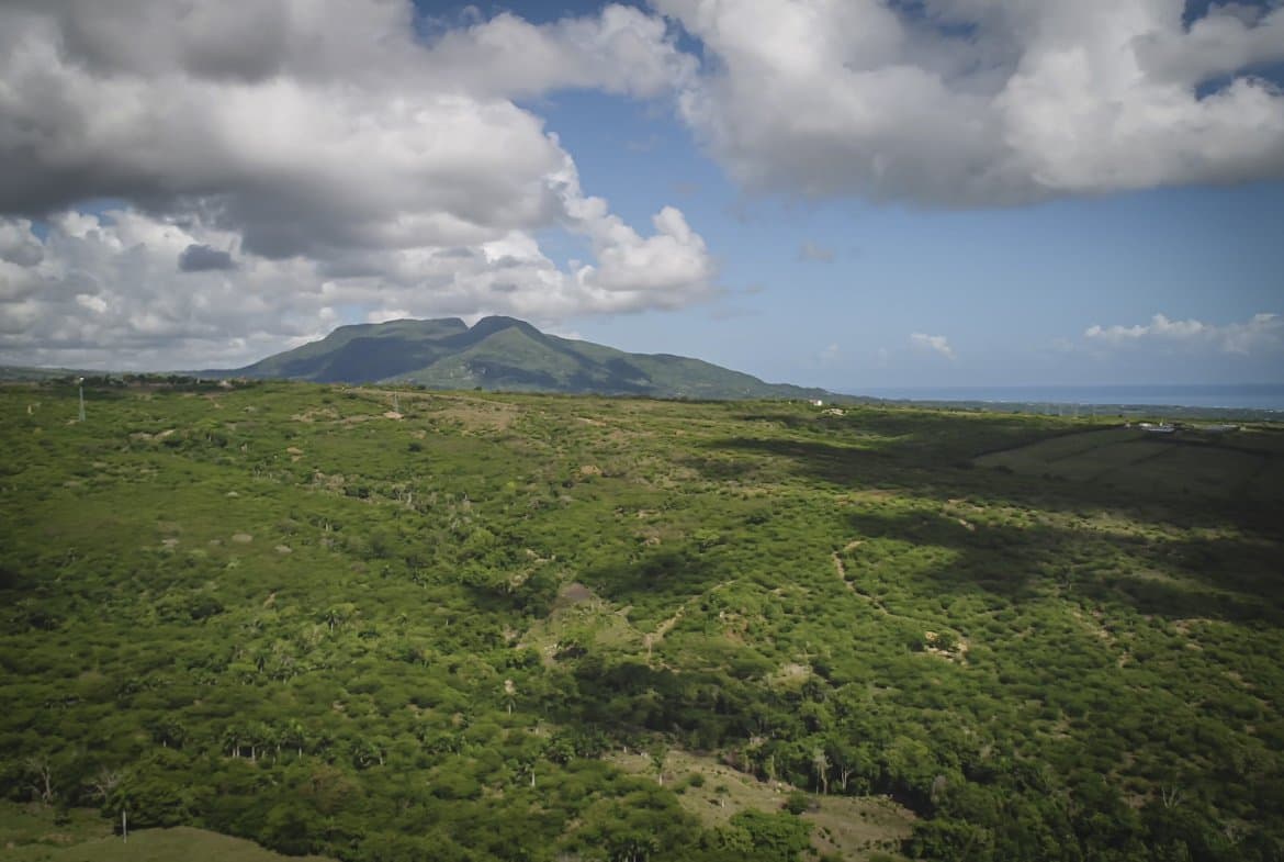 Beautiful 22 Acres of Development Property For Sale! - Image 3