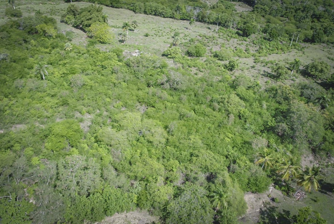 Beautiful 22 Acres of Development Property For Sale! - Image 2