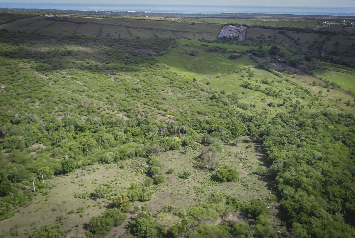 Beautiful 22 Acres of Development Property For Sale! - Image 4