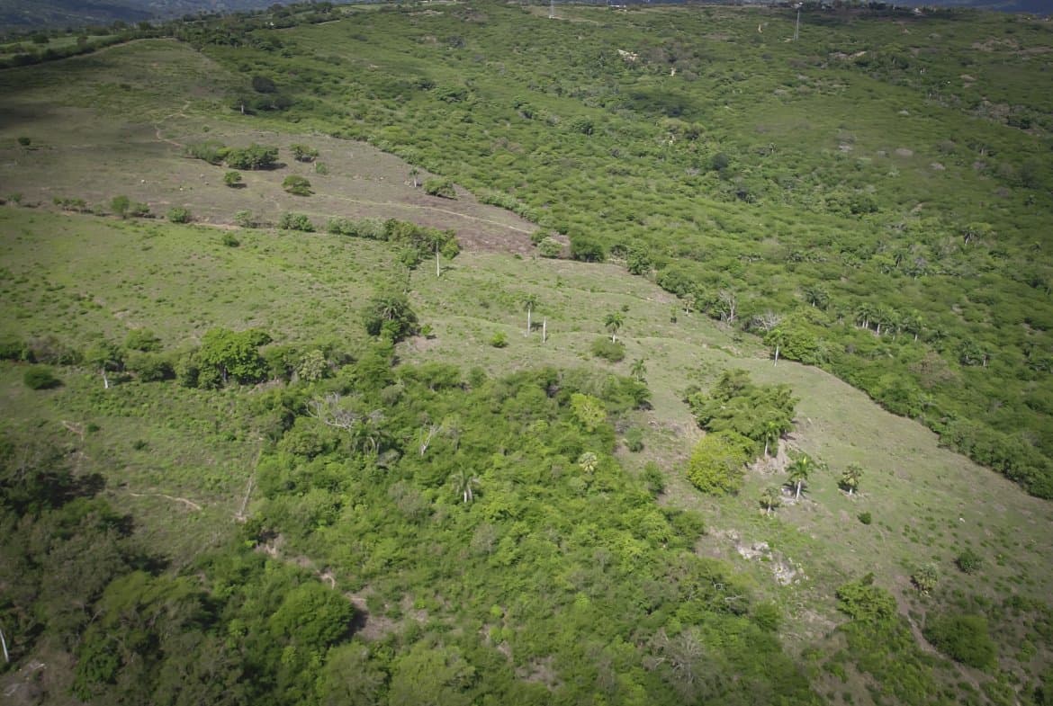 Beautiful 22 Acres of Development Property For Sale! - Image 5