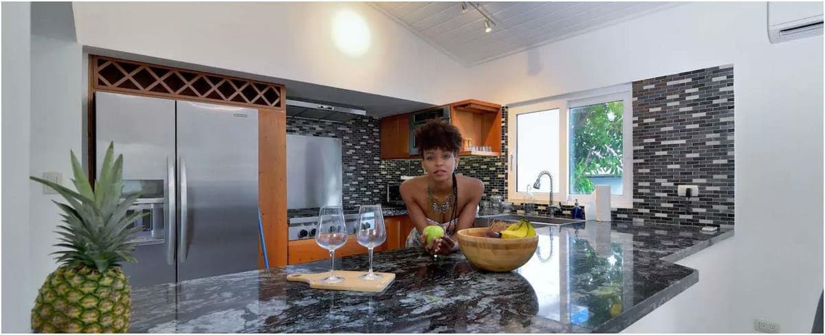 STUNNING OCEANSIDE BEACH HOUSE + RENTAL APARTMENT FOR SALE! - Image 3