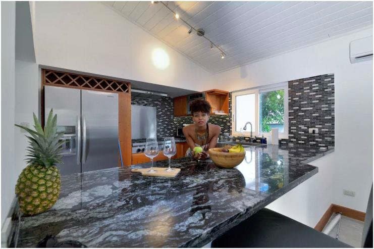 STUNNING OCEANSIDE BEACH HOUSE + RENTAL APARTMENT FOR SALE! - Image 4