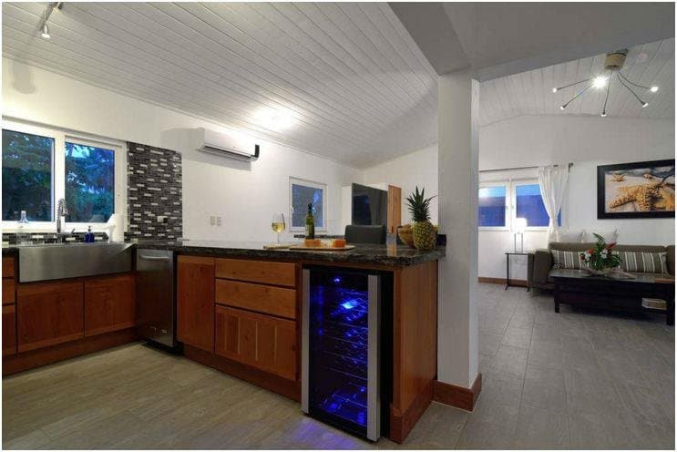 STUNNING OCEANSIDE BEACH HOUSE + RENTAL APARTMENT FOR SALE! - Image 5