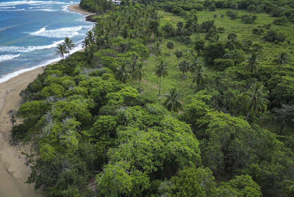 123 Acres Prime Oceanfront Development Land for Sale, Sosua - Image 5