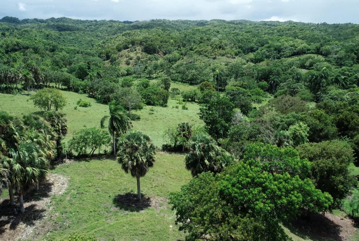 Beautiful Building Lot For Sale in Hacienda El Choco - Image 1