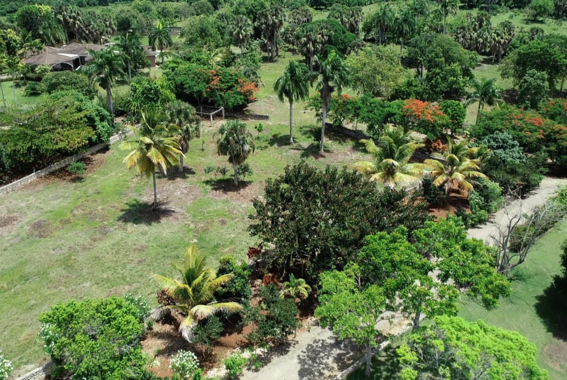 Beautiful Building Lot For Sale in Hacienda El Choco - Image 4