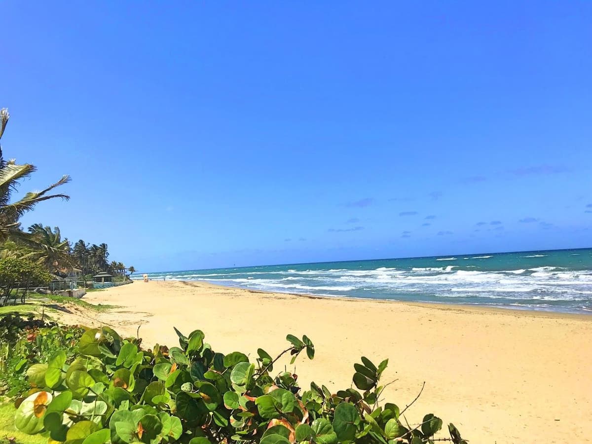 2 Floor Oceanfront Condo Walking distance to Cabarete - Image 5