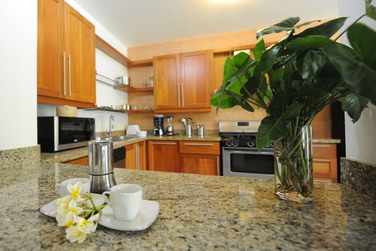 Infinti Blu 2 Bedroom Garden Condo For Sale - Image 2