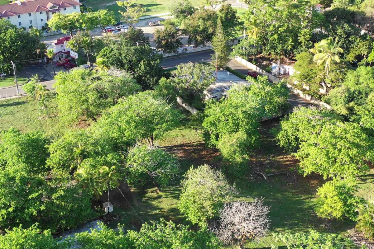 Prime Development Land, Sosúa Center