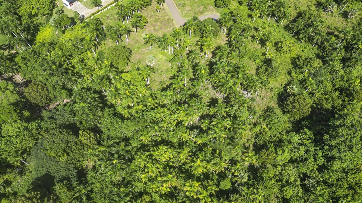 Ocean View Building Lot in Panorama Village, Sosúa – Best Value at $95k - Image 4