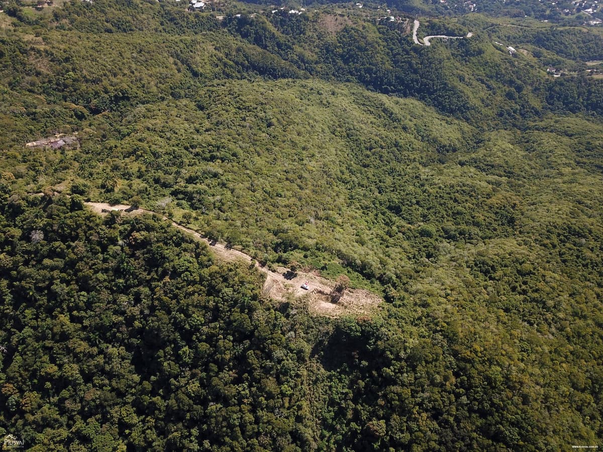 Proyecto de Solares de Montaña en Venta con Vista a Santiago en Palo Alto. - Image 1
