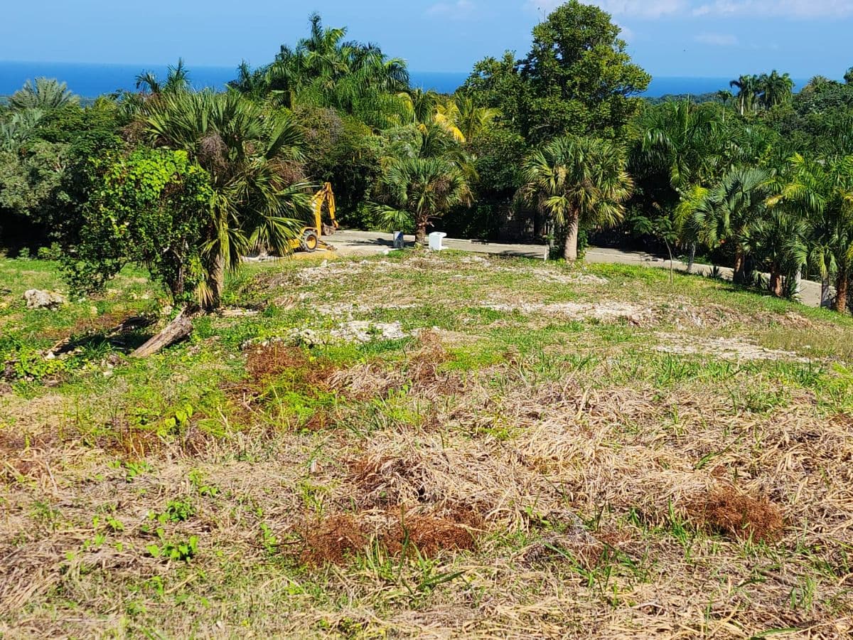 Ultra-Exclusive Ocean & Mountain View Estate Land - Image 5