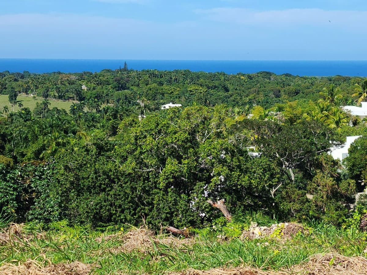 Ultra-Exclusive Ocean & Mountain View Estate Land - Image 3