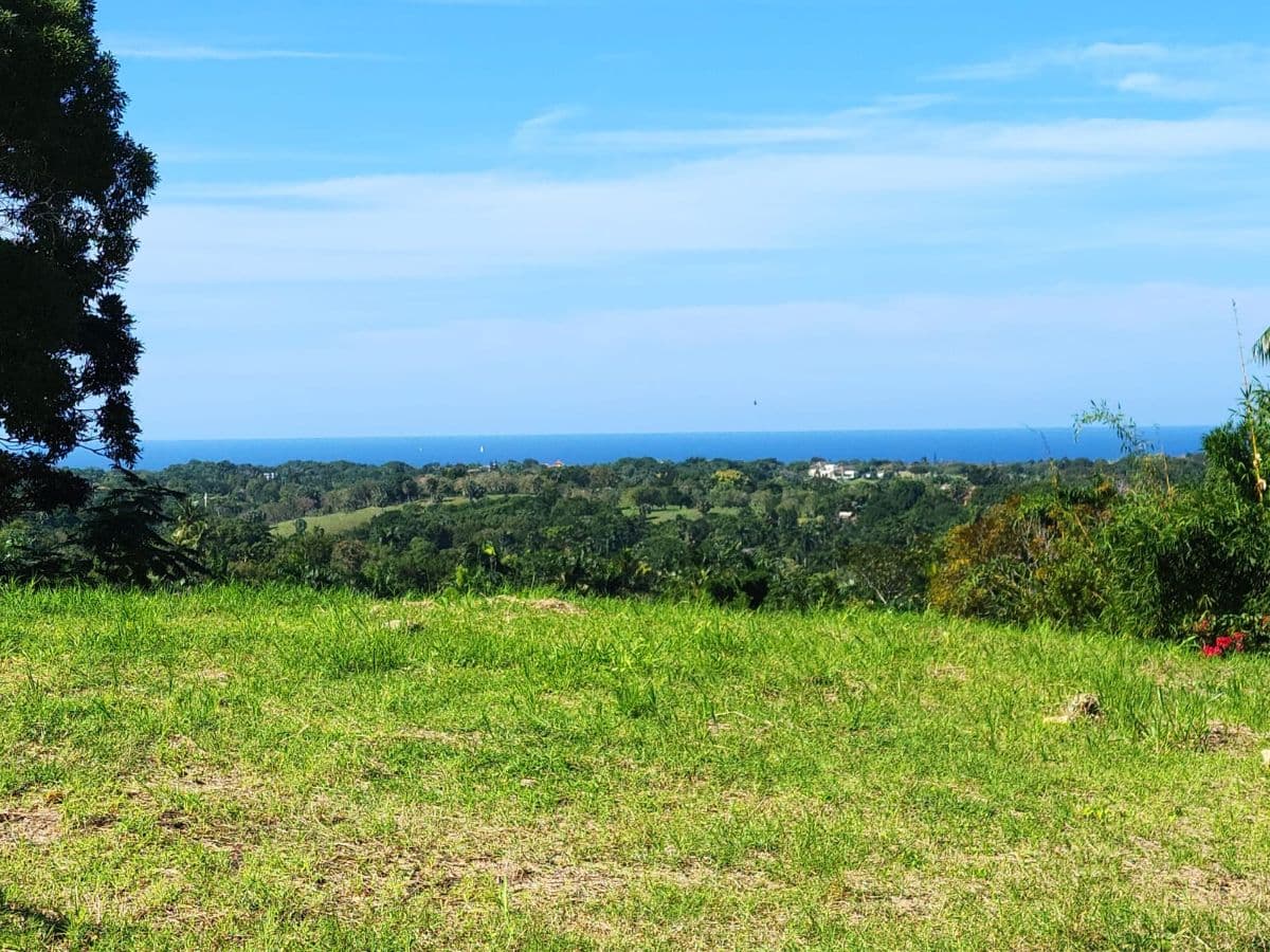 Ultra-Exclusive Ocean & Mountain View Estate Land