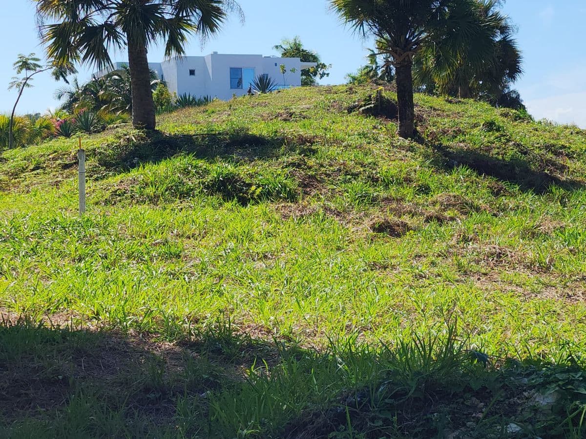 Ultra-Exclusive Ocean & Mountain View Estate Land - Image 2