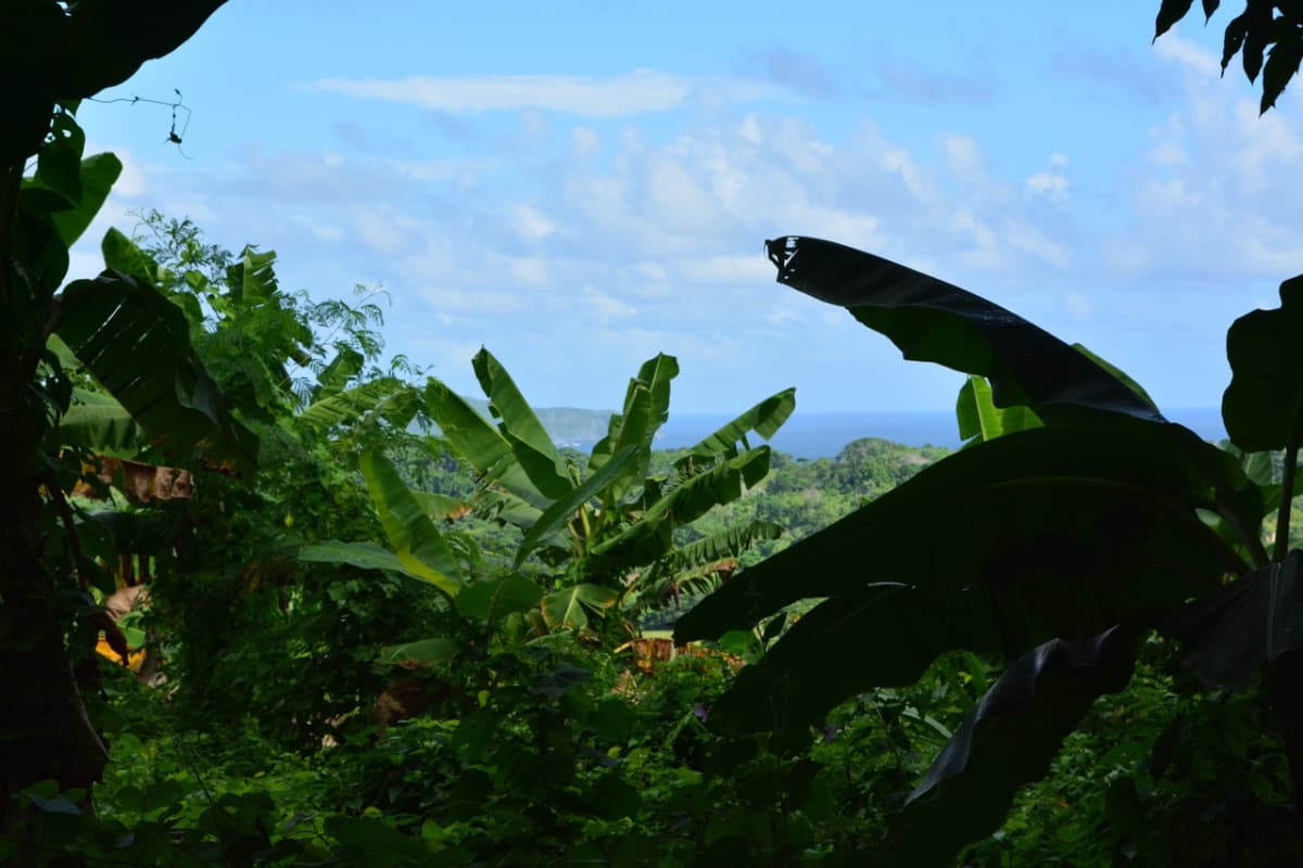 PRIME LAND OPPORTUNITY NEAR PLAYA RINCÓN – SAMANÁ