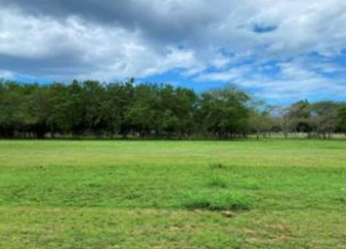 Luxury Lot for Sale in Rancho Arriba – Casa de Campo, La Romana