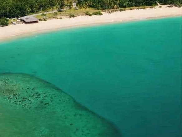 Exclusive Beachfront Development Opportunity in Playa El Limón, Samaná, Dominican Republic - Image 3