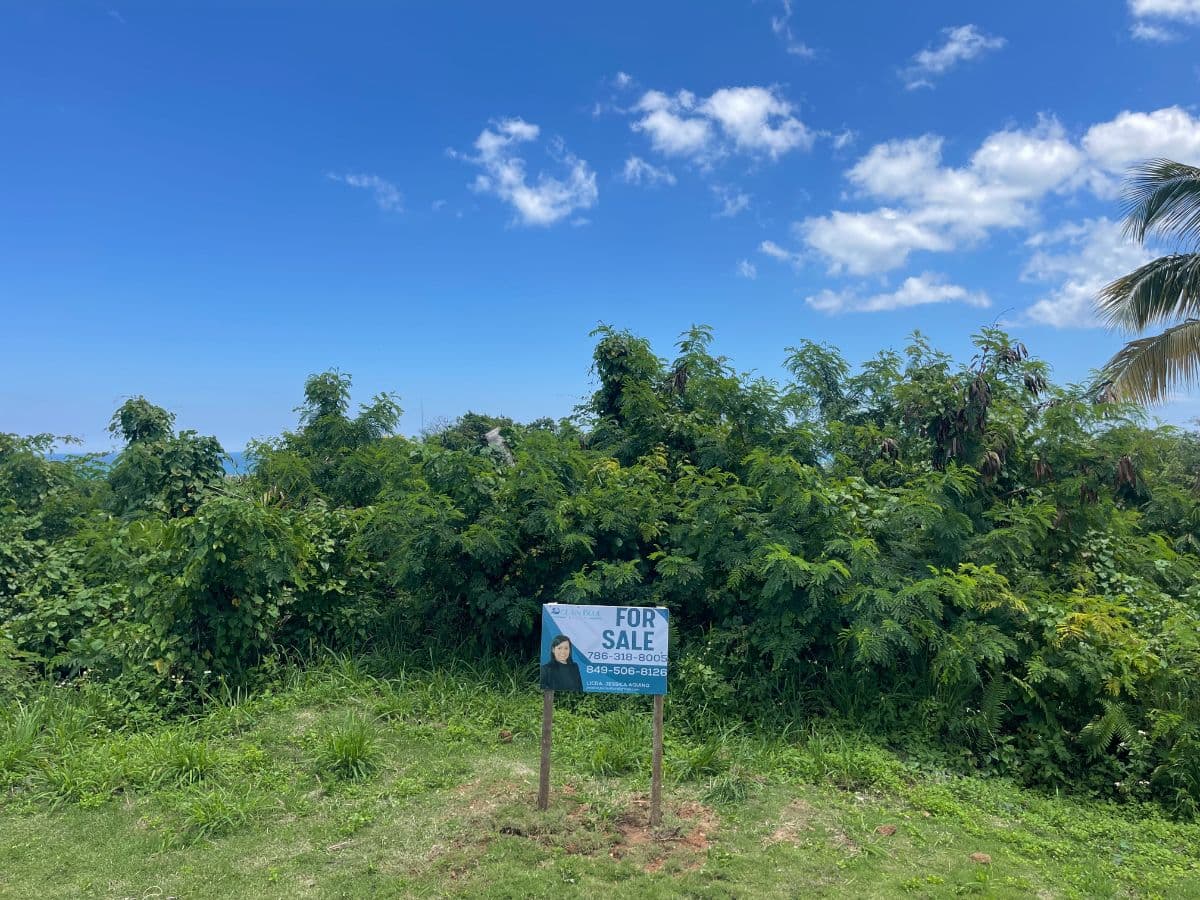 Rare Opportunity — 950.22 m² Lot for Sale in Las Terrenas, Samaná