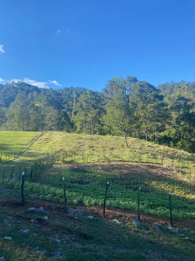 Land Lots for Sale by Owner in Jarabacoa Dominican Republic