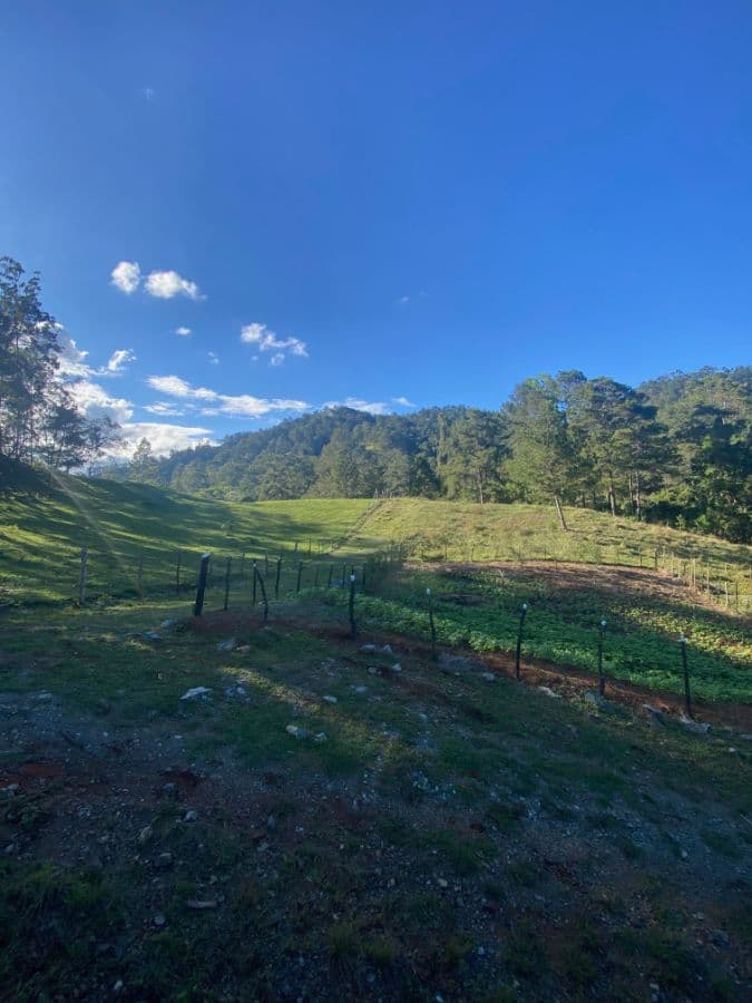 Land Lots for Sale by Owner in Jarabacoa Dominican Republic - Image 3