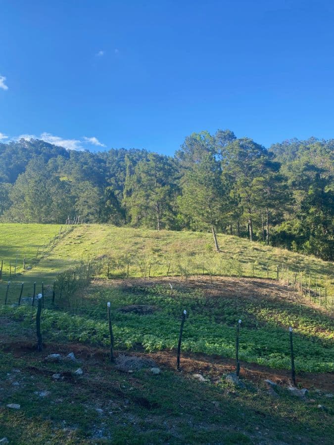 Independent Lots for Sale in Jarabacoa – Just 6 Minutes from Shopping, Supermarkets and Schools | For US$57,000 - Image 2