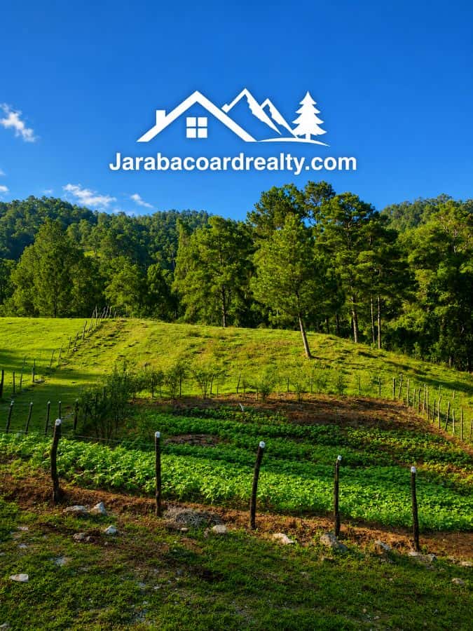 Independent Lots for Sale in Jarabacoa – Just 6 Minutes from Shopping, Supermarkets and Schools | For US$57,000