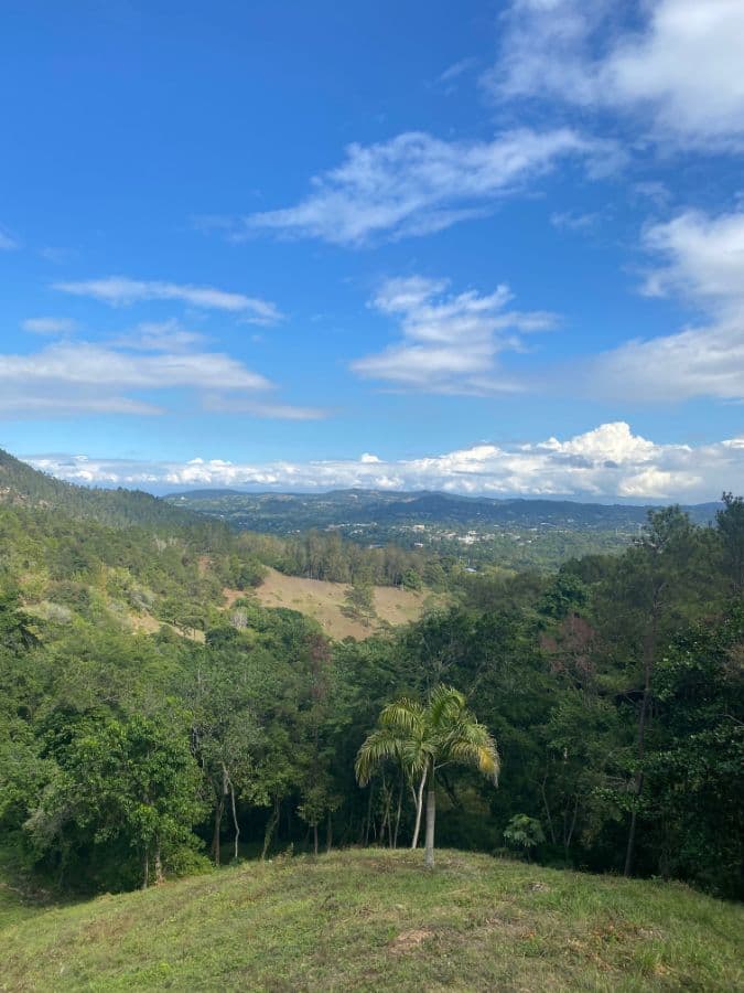 Investment Land for Sale Jarabacoa Dominican Republic Development Land with Views to the Town and Mountains at Just 8 Minutes from Commercial and Downtown Jarabacoa - Image 2