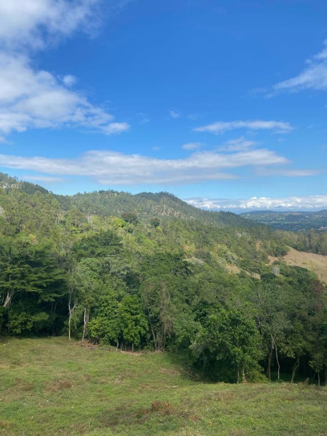Investment Land for Sale Jarabacoa Dominican Republic Development Land with Views to the Town and Mountains at Just 8 Minutes from Commercial and Downtown Jarabacoa - Image 3