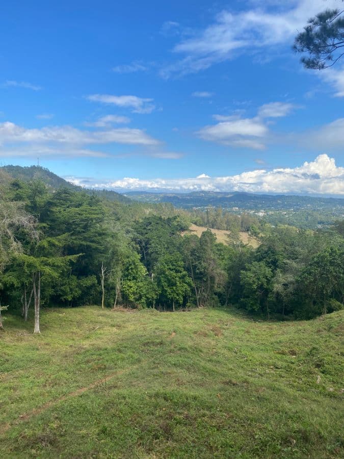 Investment Land for Sale Jarabacoa Dominican Republic Development Land with Views to the Town and Mountains at Just 8 Minutes from Commercial and Downtown Jarabacoa - Image 4