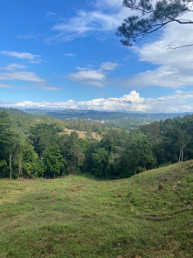 Investment Land for Sale Jarabacoa Dominican Republic Development Land with Views to the Town and Mountains at Just 8 Minutes from Commercial and Downtown Jarabacoa - Image 5