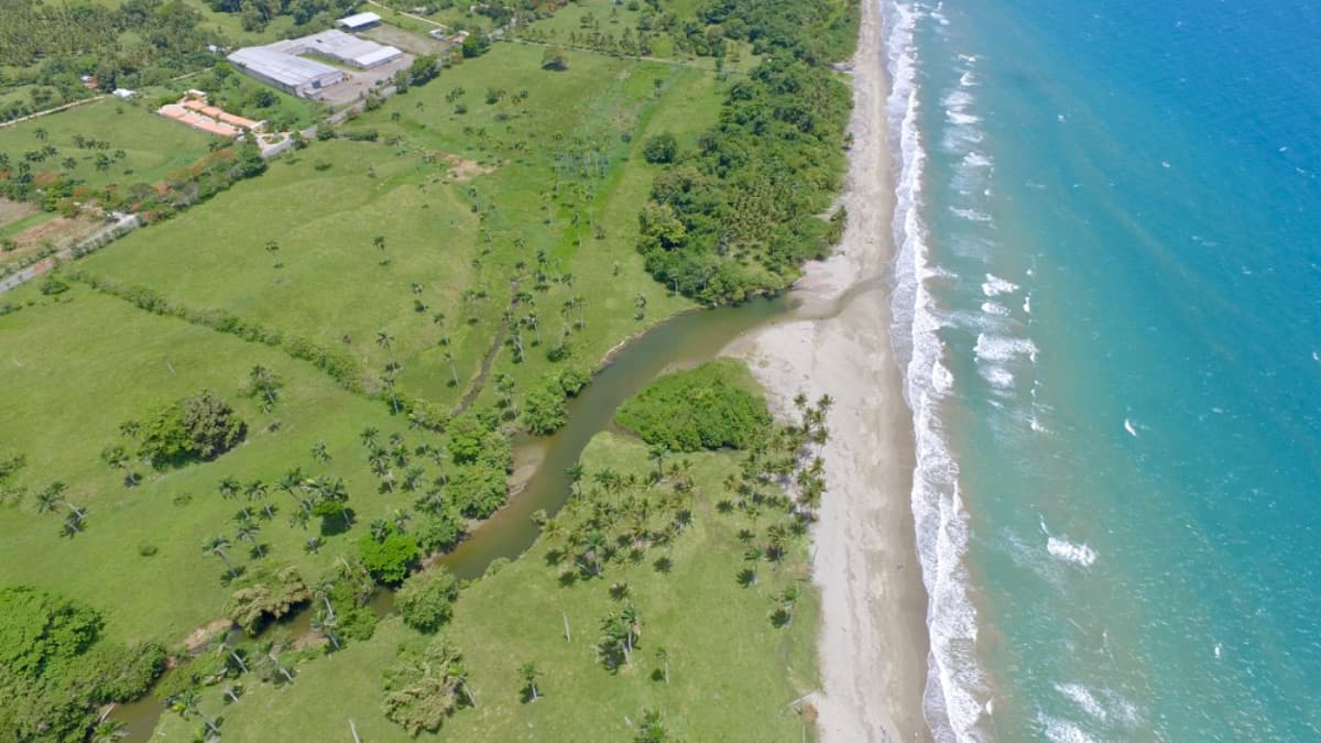 Beachfront Investment Land with Ocean Views – Gaspar Hernández, Dominican Republic - Image 4