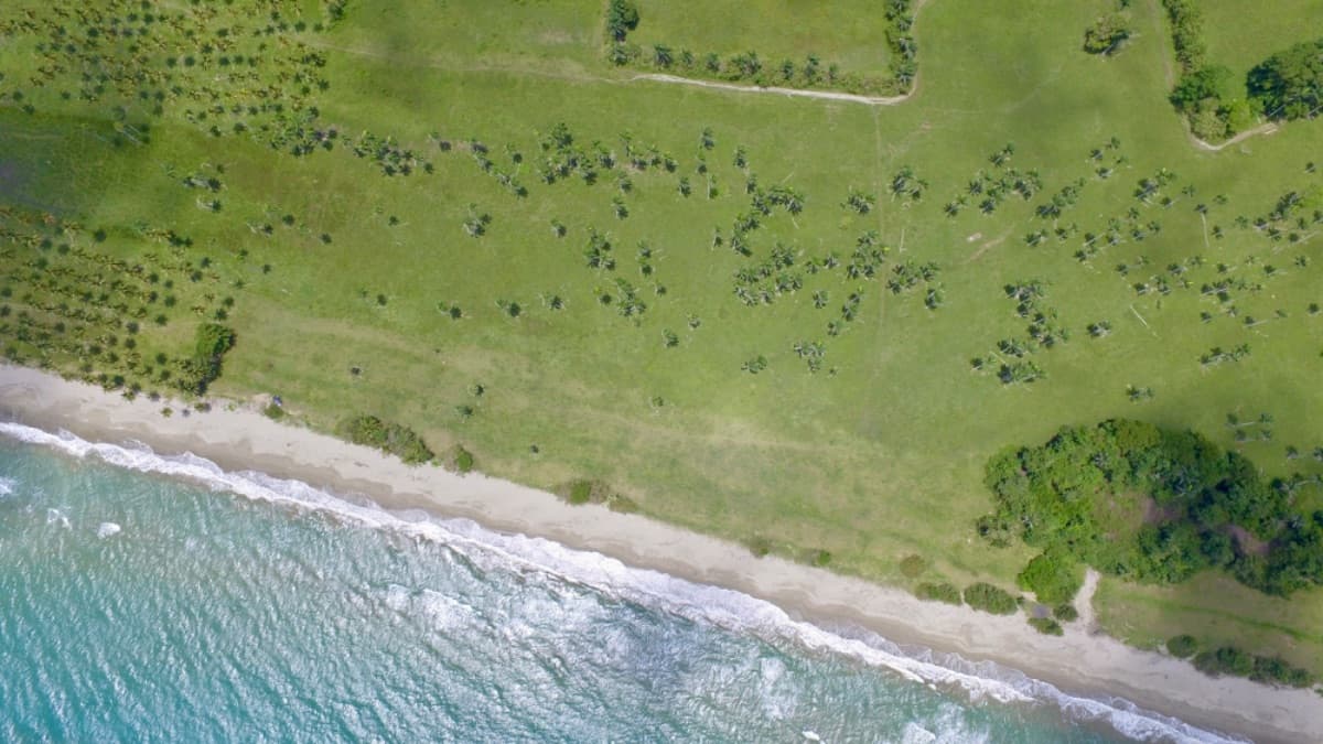 Beachfront Investment Land with Ocean Views – Gaspar Hernández, Dominican Republic - Image 5