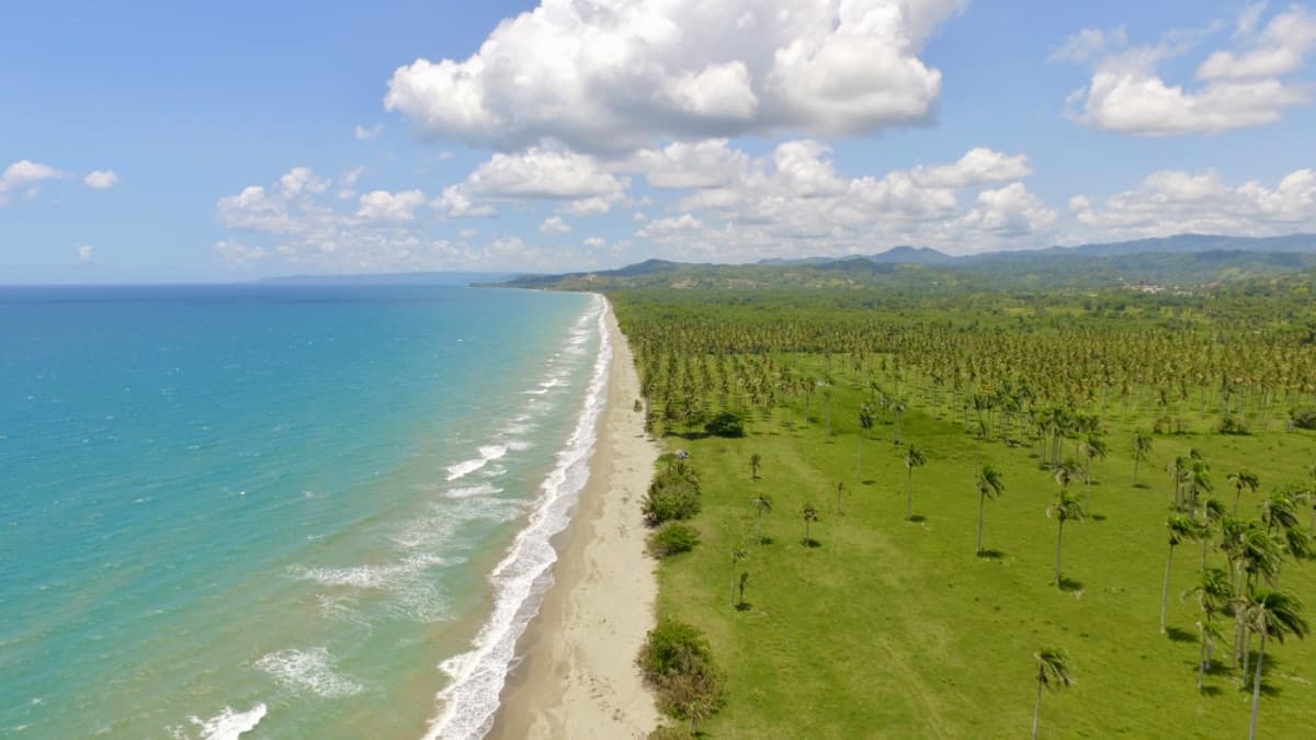 Beachfront Investment Land with Ocean Views – Gaspar Hernández, Dominican Republic - Image 1