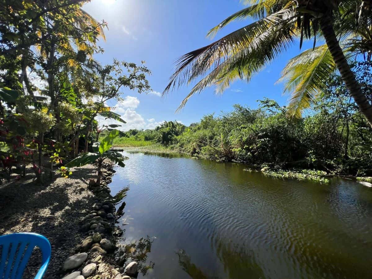 Prime Income Property in the Heart of Cabarete 🌴