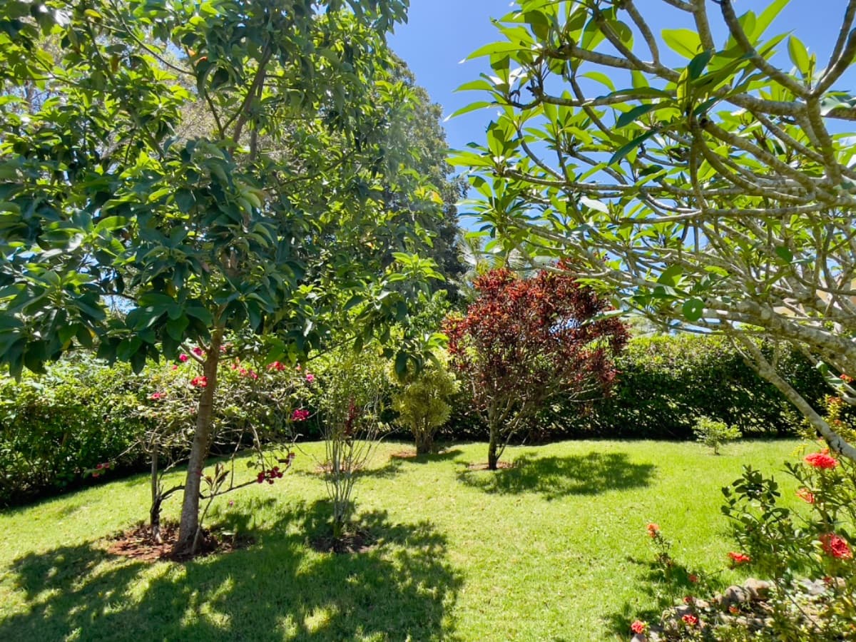 Experience refined Caribbean living in this spacious 4-bedroom villa designed for comfort, privacy, and effortless indoor-outdoor living - Image 3