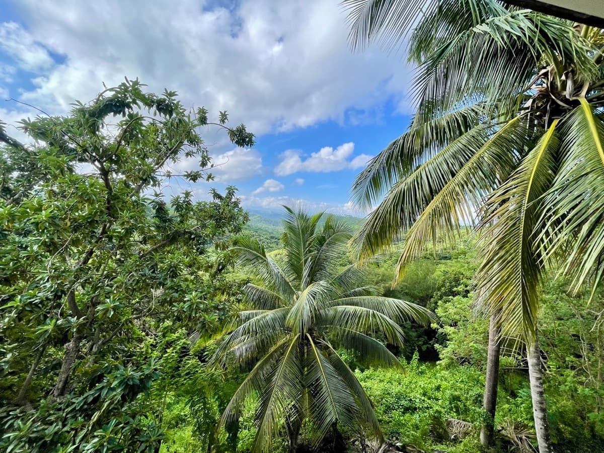 Exceptional Ocean View Land for Sale – Sosúa, Dominican Republic - Image 1