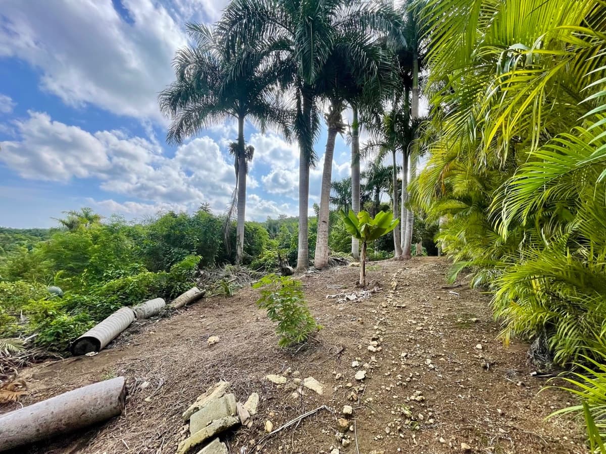 Exceptional Ocean View Land for Sale – Sosúa, Dominican Republic - Image 3