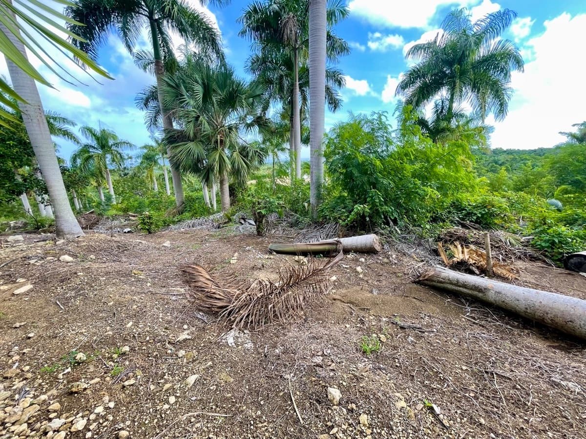 Exceptional Ocean View Land for Sale – Sosúa, Dominican Republic - Image 4
