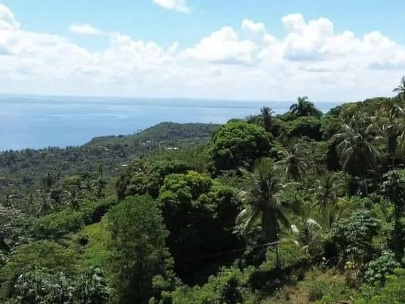 Prime Oceanfront Land for Sale in Samaná: Exclusive Monte Rojo Hillside Lots - Image 2