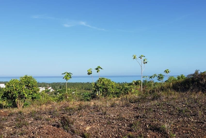 Prime 10,000 m² Ocean-View Development Land for Sale – Palmar de los Nidos, Near Playa Cosón, Las Terrenas - Image 1