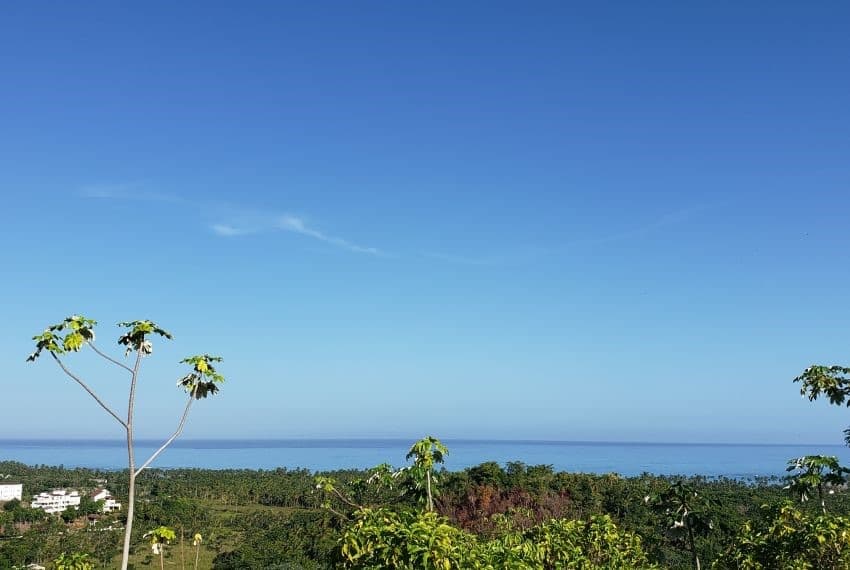 Prime 10,000 m² Ocean-View Development Land for Sale – Palmar de los Nidos, Near Playa Cosón, Las Terrenas - Image 2