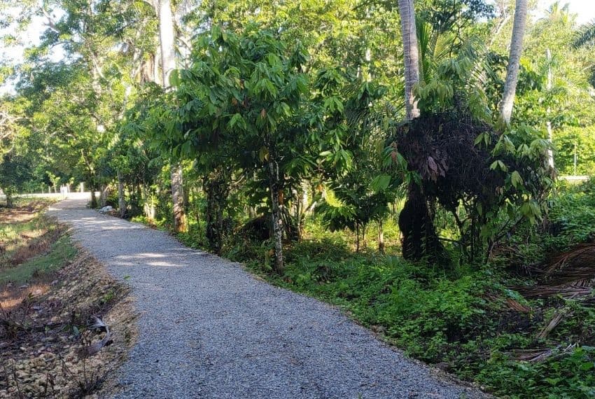 Prime 10,000 m² Ocean-View Development Land for Sale – Palmar de los Nidos, Near Playa Cosón, Las Terrenas - Image 3