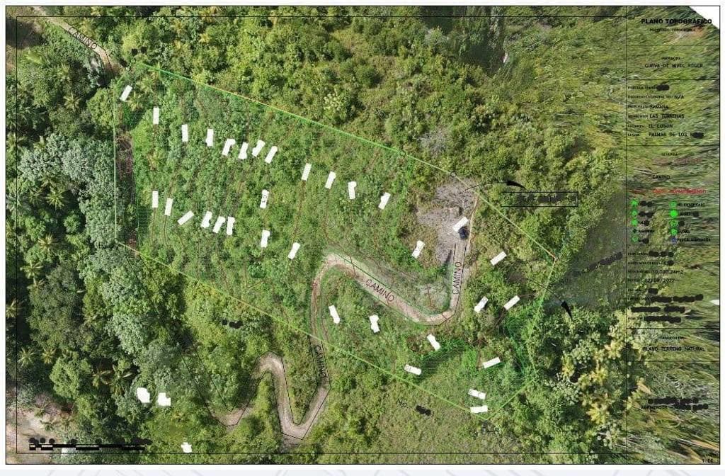 Prime 10,000 m² Ocean-View Development Land for Sale – Palmar de los Nidos, Near Playa Cosón, Las Terrenas - Image 4
