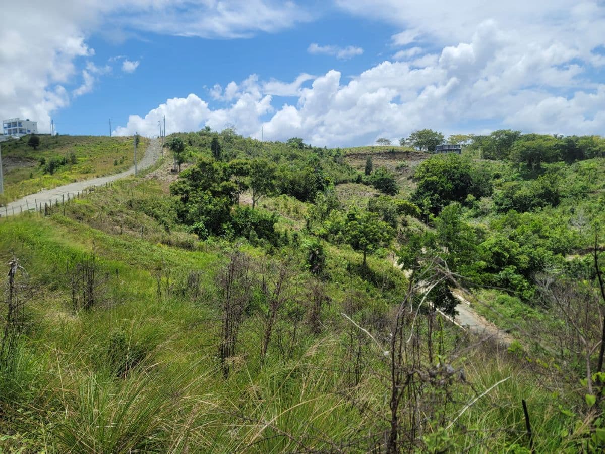Terreno en venta con vista al mar en Gaspar Hernández - Image 5