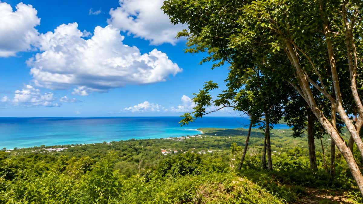 🌴 Exceptional 2,672 m² Building Plot with 180° Panoramic Sea Views - Las Terrenas