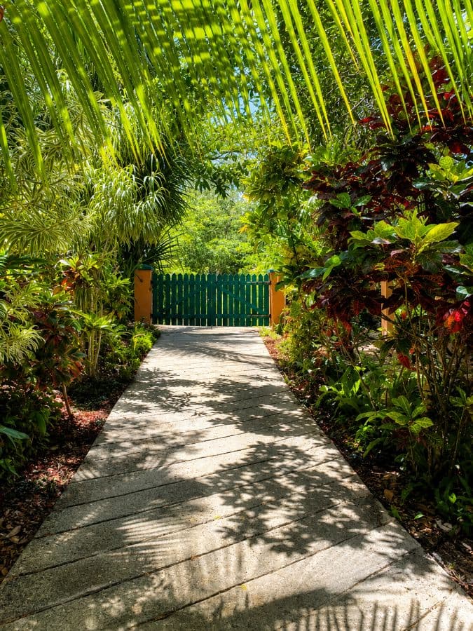 🌴 Exceptional 2,672 m² Building Plot with 180° Panoramic Sea Views - Las Terrenas - Image 5