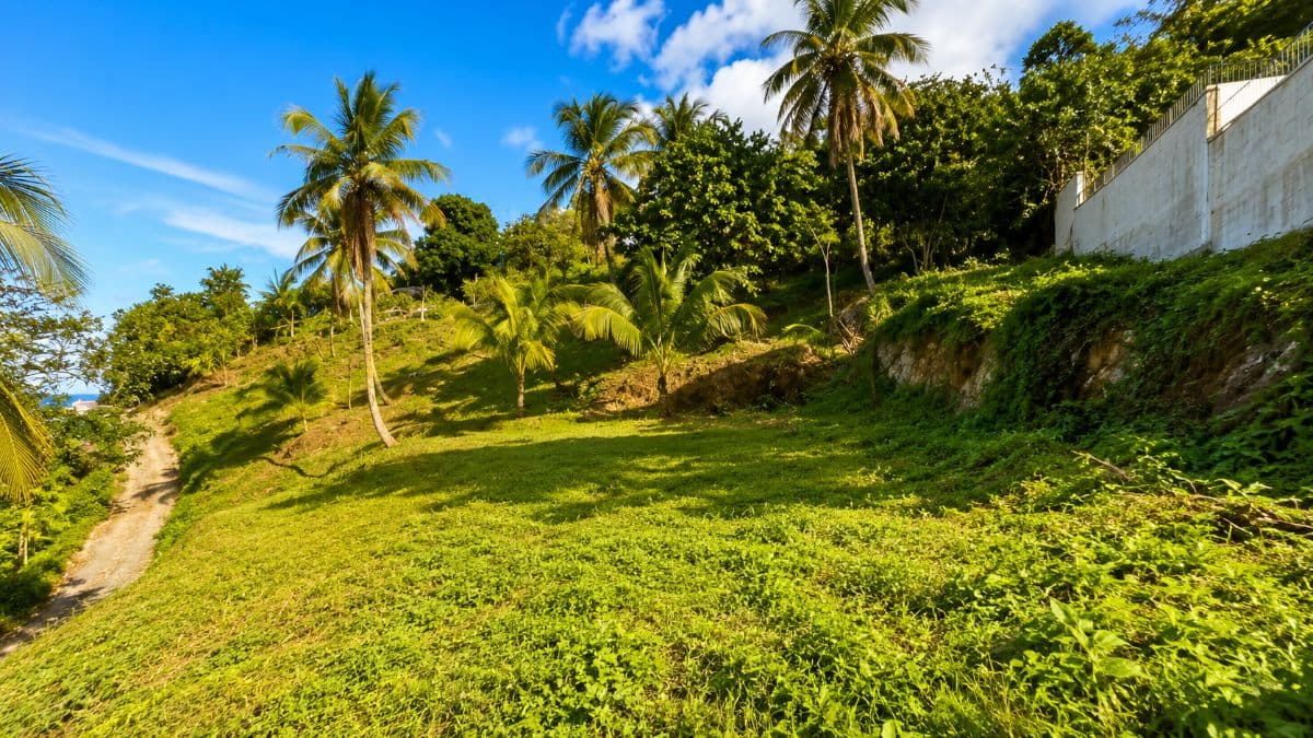 🌴 Exceptional 2,443 m² Building Plot with Sea View - Las Terrenas - Image 5